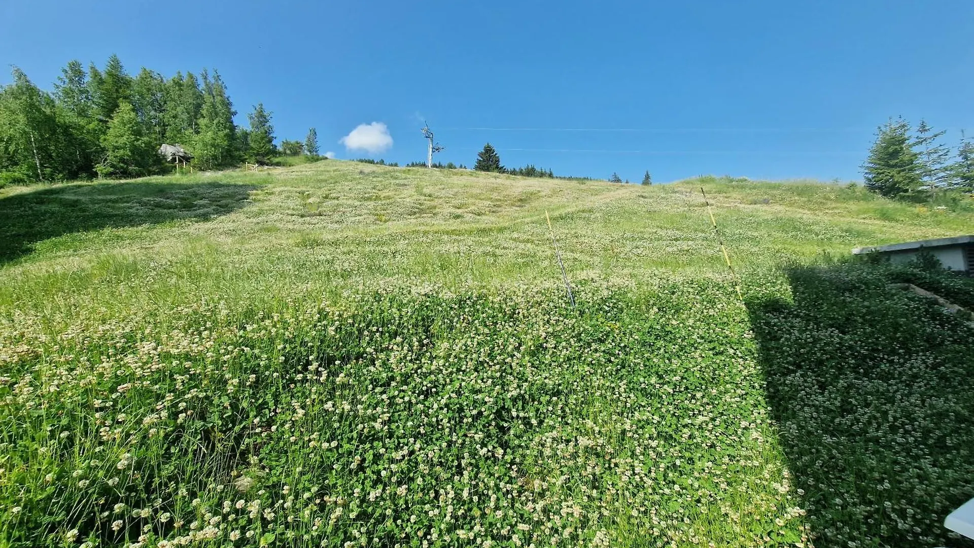 Nid douillet à COURCHEVEL ski aux pieds Francia