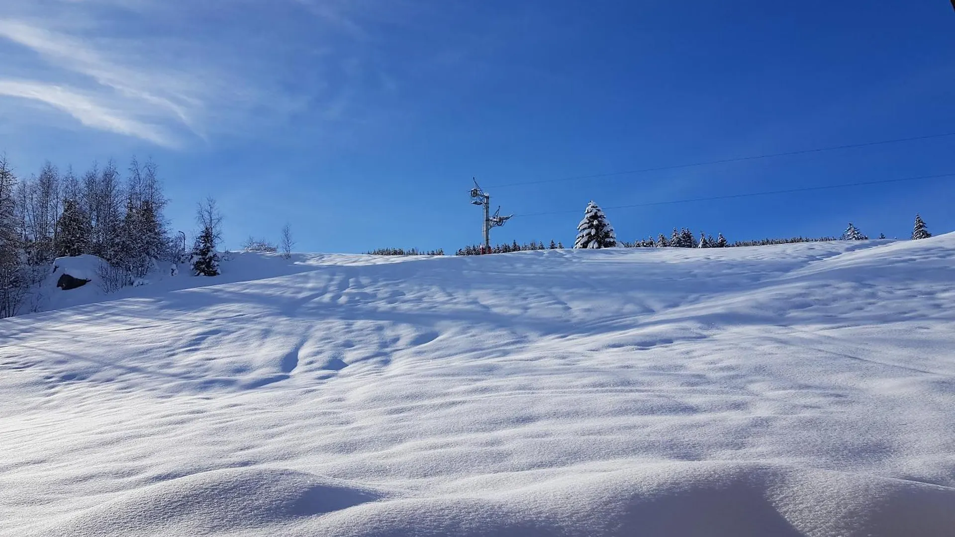 Apartment Ski Au Pied, 3Ch 2Sdb Garage Terrasse Courchevel France